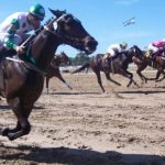 palermo-hipodromo-horses