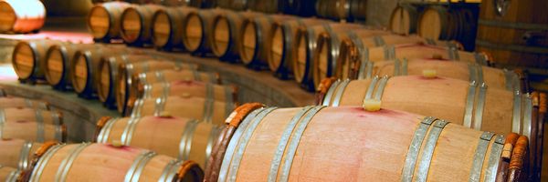 Barrels and barrels of Argentine Wine!