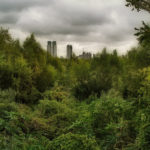 Costanera Sur Ecological Reserve