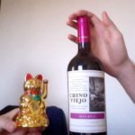Argentine Wine: Grocery Store Picks