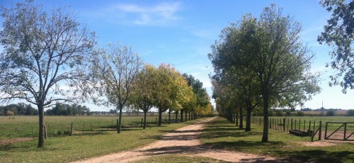 El Ombu Estancia