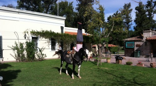 El Ombu Estancia