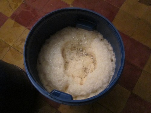 Brewing beer in Buenos Aires: yeast comes to the party
