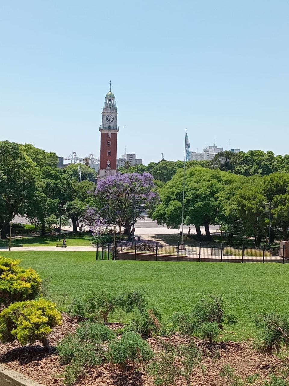 Torre Monumental rising above the trees in Retiro, Buenos Aires